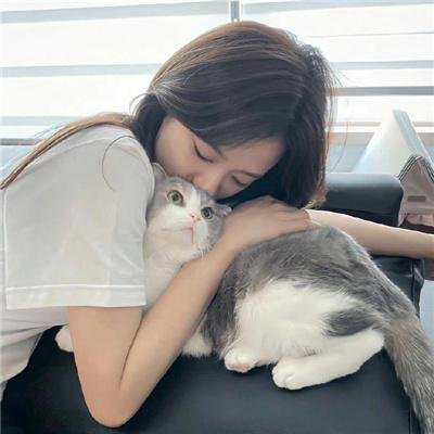嗜血狂鲨